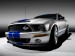 ford-mustang-shelby-gt500-picture-98288